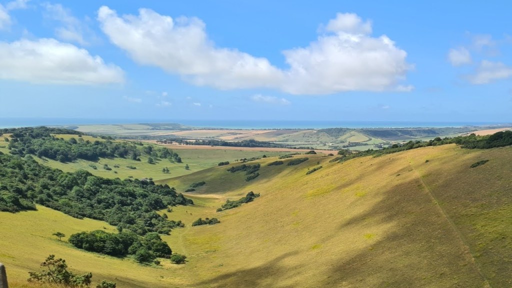 Meditation in Motion