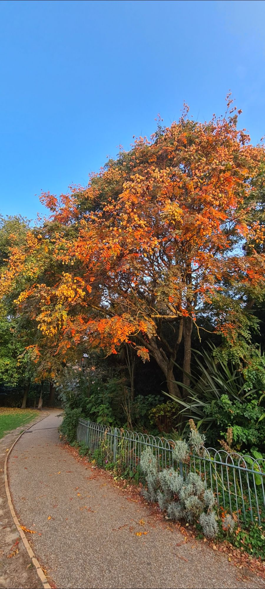 How Seasonal Changes Influence My Writing About Walking