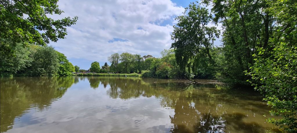 Something is better than nothing