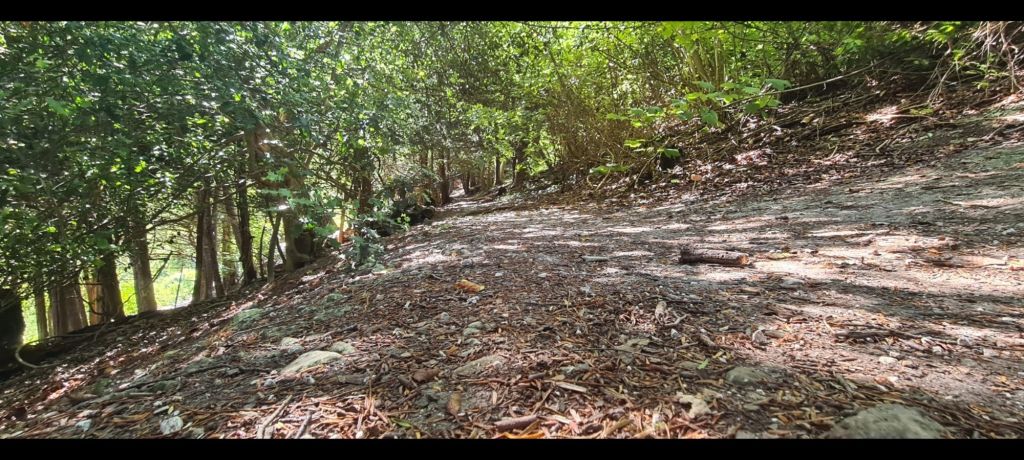 Hiding in plain sight